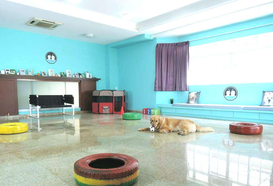 The air conditioned play room
